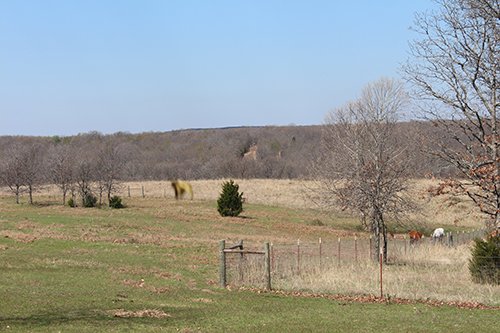 Tract 4 - Horse Pasture - OKLAHOMA LAND & REAL ESTATE AUCTION, 438 +/- Acres offered in 13 Tracts